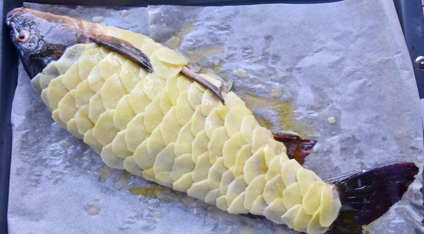 Фото приготовления рецепта: Рыба запеченная с картофелем, шаг №4