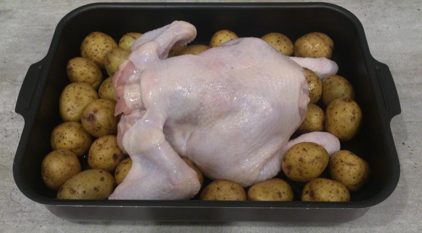 Мелкий картофель тщательно вымыть, выложить к куриной тушке, сбрызнуть маслом и посолить